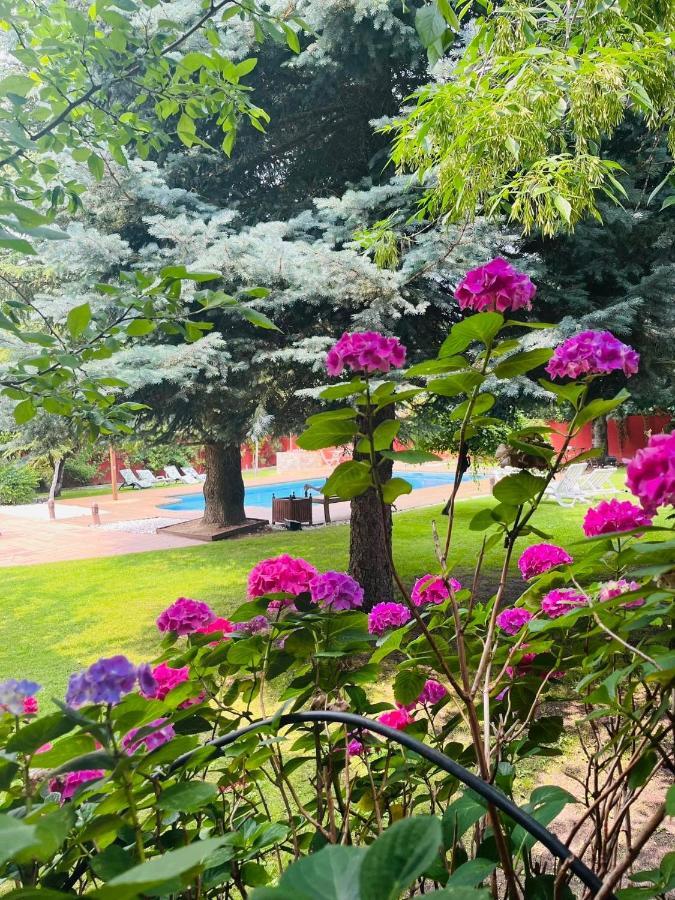 B&B Concha Becerril de la Sierra Exteriér fotografie
